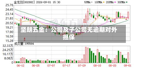 坚朗五金:公司及子公司无逾期对外担保-第2张图片