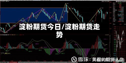 淀粉期货今日/淀粉期货走势-第2张图片