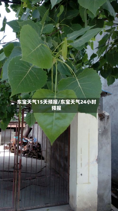 东宝天气15天预报/东宝天气24小时预报