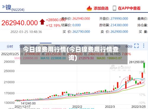 今日镍费用行情(今日镍费用行情查询)-第2张图片