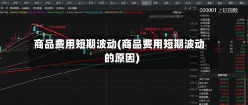商品费用短期波动(商品费用短期波动的原因)
