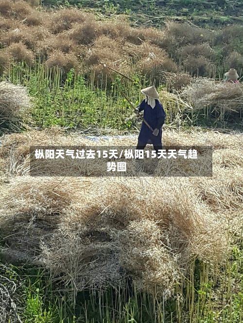 枞阳天气过去15天/枞阳15天天气趋势图-第3张图片