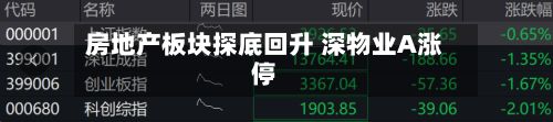 房地产板块探底回升 深物业A涨停-第2张图片