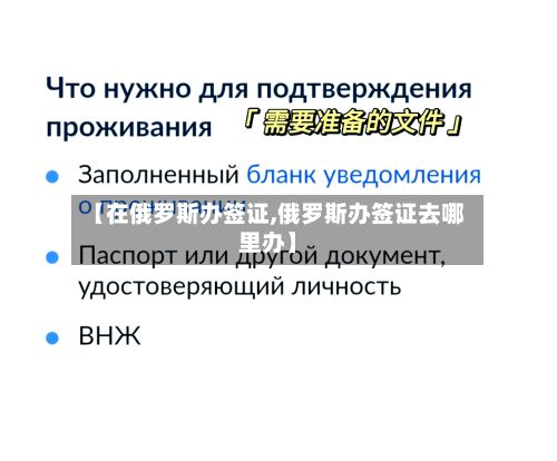 【在俄罗斯办签证,俄罗斯办签证去哪里办】-第3张图片