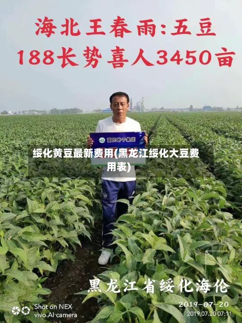 绥化黄豆最新费用(黑龙江绥化大豆费用表)