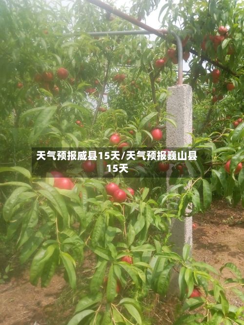 天气预报威县15天/天气预报巍山县15天-第2张图片