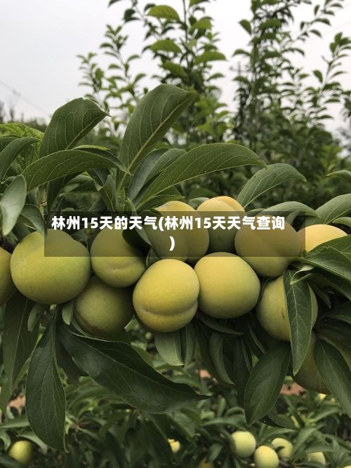林州15天的天气(林州15天天气查询)-第2张图片
