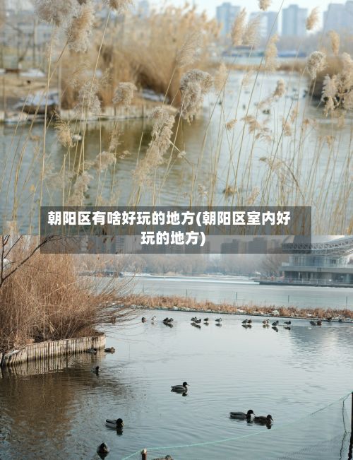 朝阳区有啥好玩的地方(朝阳区室内好玩的地方)