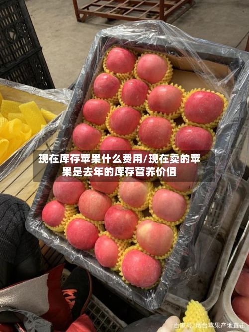 现在库存苹果什么费用/现在卖的苹果是去年的库存营养价值