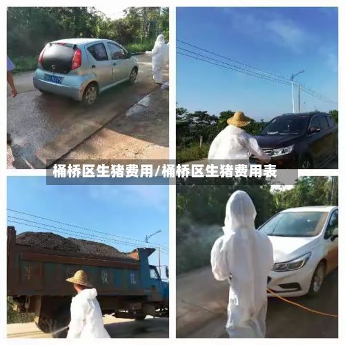桶桥区生猪费用/桶桥区生猪费用表-第2张图片