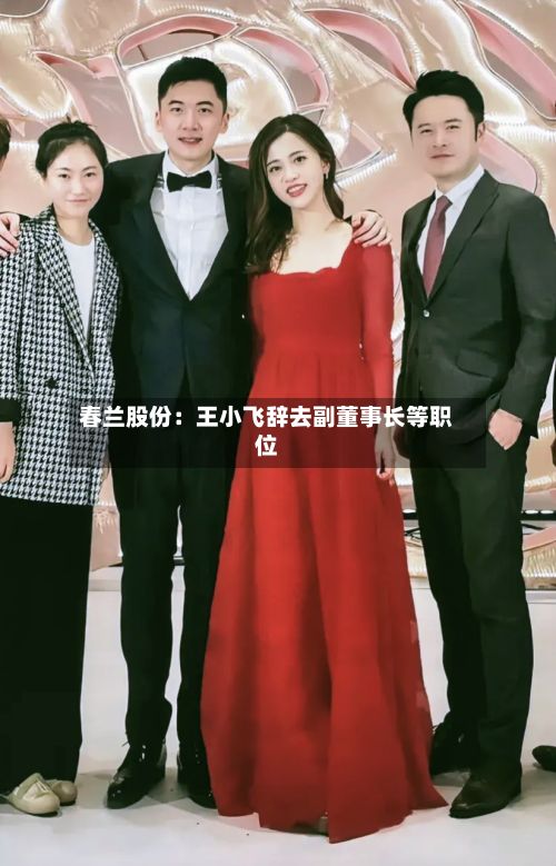 春兰股份：王小飞辞去副董事长等职位-第3张图片