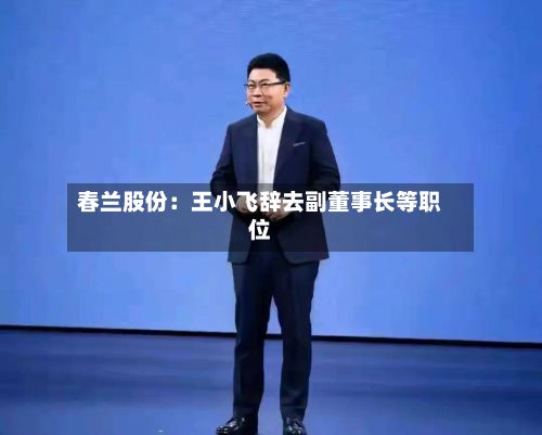 春兰股份：王小飞辞去副董事长等职位-第2张图片
