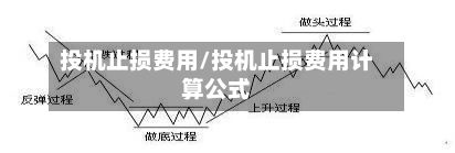 投机止损费用/投机止损费用计算公式