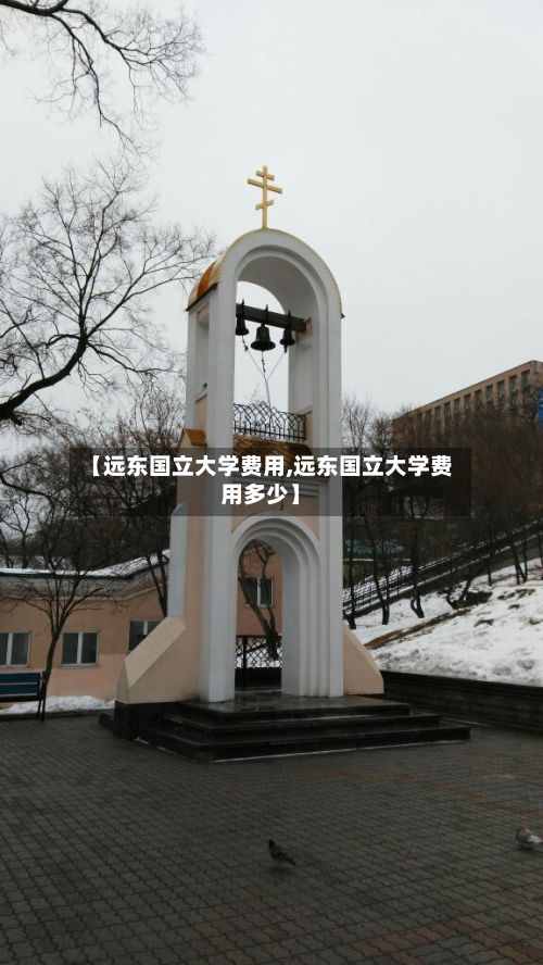 【远东国立大学费用,远东国立大学费用多少】-第3张图片