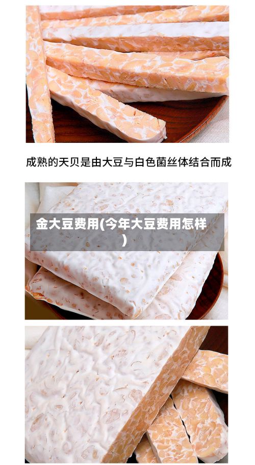 金大豆费用(今年大豆费用怎样)