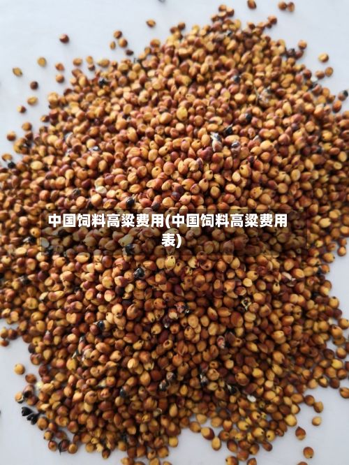 中国饲料高粱费用(中国饲料高粱费用表)