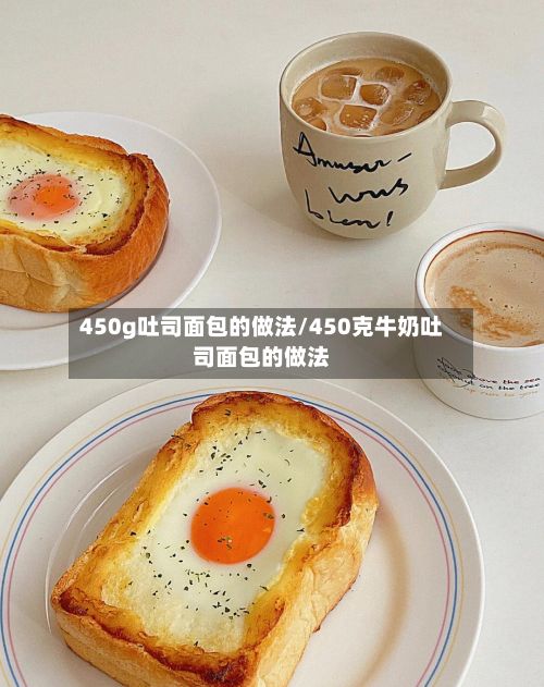 450g吐司面包的做法/450克牛奶吐司面包的做法-第2张图片