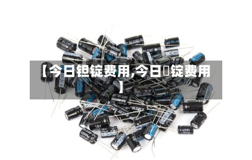 【今日钽锭费用,今日捛锭费用】-第2张图片