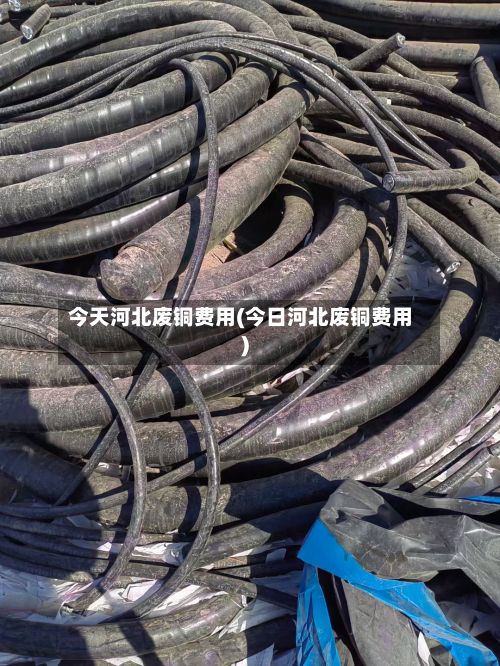 今天河北废铜费用(今日河北废铜费用)-第3张图片