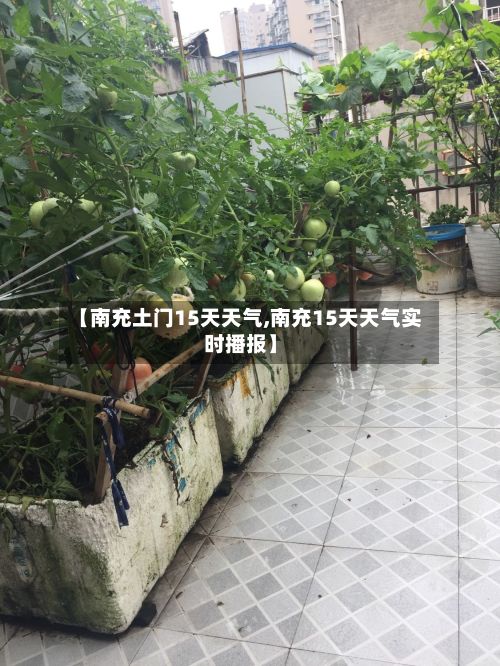 【南充土门15天天气,南充15天天气实时播报】