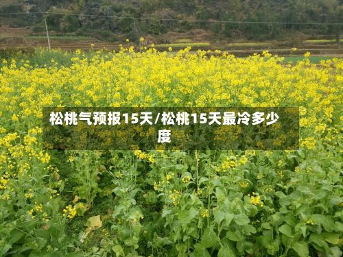 松桃气预报15天/松桃15天最冷多少度