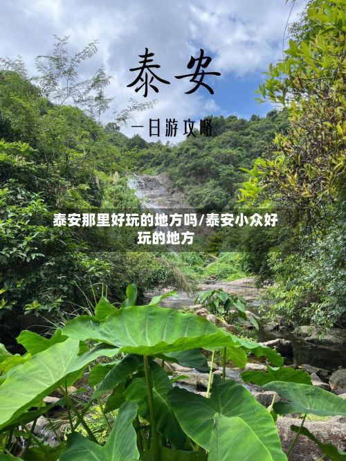 泰安那里好玩的地方吗/泰安小众好玩的地方-第2张图片