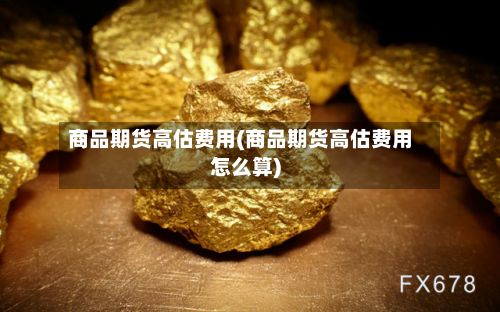 商品期货高估费用(商品期货高估费用怎么算)