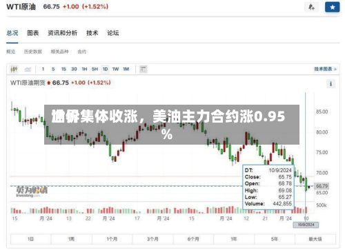 世界油价集体收涨	，美油主力合约涨0.95%-第2张图片