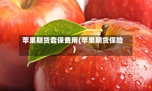 苹果期货套保费用(苹果期货保险)-第2张图片
