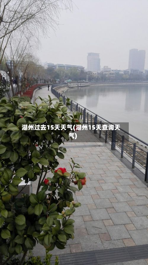 湖州过去15天天气(湖州15天查询天气)