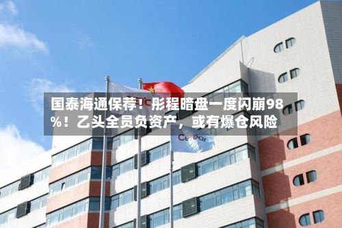 国泰海通保荐！彤程暗盘一度闪崩98%！乙头全员负资产，或有爆仓风险-第2张图片