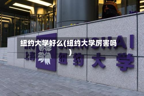 纽约大学好么(纽约大学厉害吗)