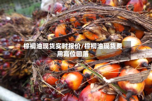 棕榈油现货实时报价/棕榈油现货费用高位回落