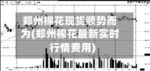 郑州棉花现货顺势而为(郑州棉花最新实时行情费用)