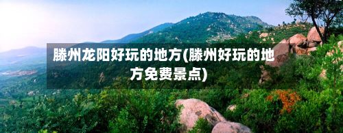 滕州龙阳好玩的地方(滕州好玩的地方免费景点)-第2张图片