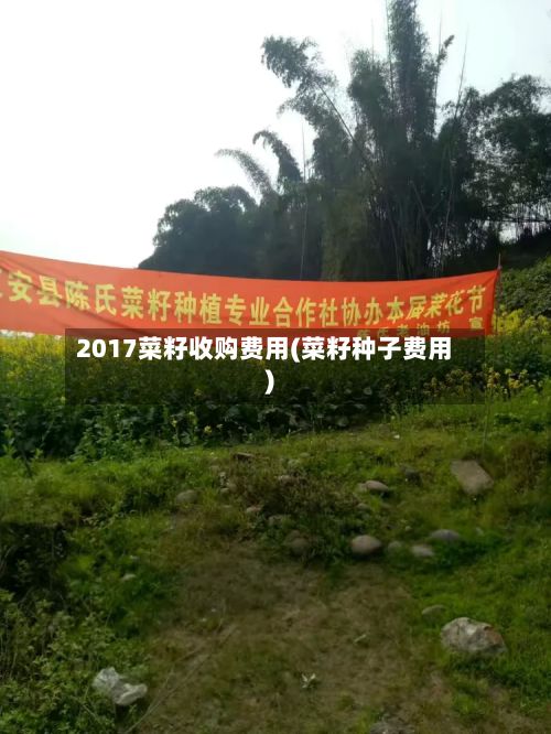2017菜籽收购费用(菜籽种子费用)-第3张图片