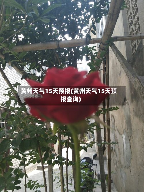 黄州天气15天预报(黄州天气15天预报查询)
