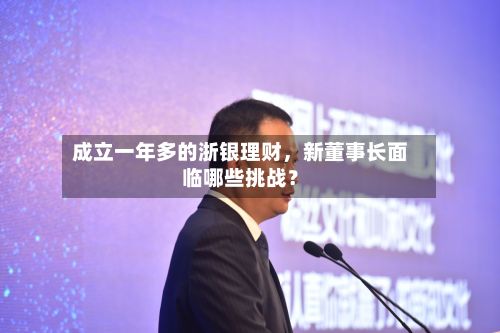 成立一年多的浙银理财，新董事长面临哪些挑战？-第2张图片