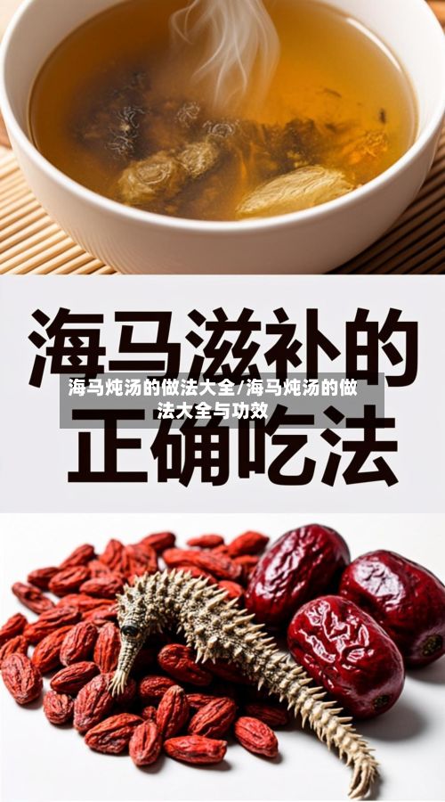 海马炖汤的做法大全/海马炖汤的做法大全与功效
