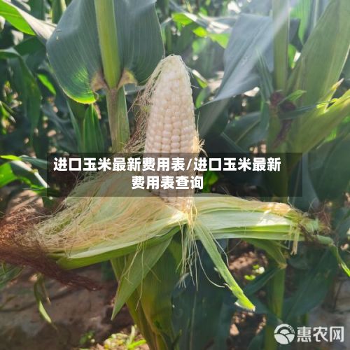 进口玉米最新费用表/进口玉米最新费用表查询-第2张图片