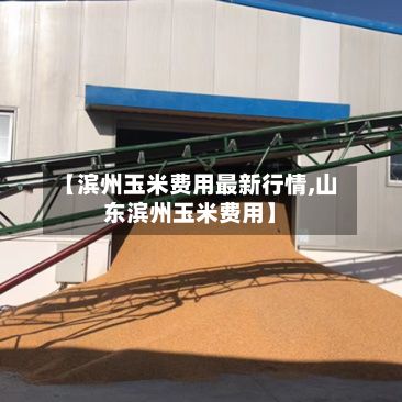 【滨州玉米费用最新行情,山东滨州玉米费用】