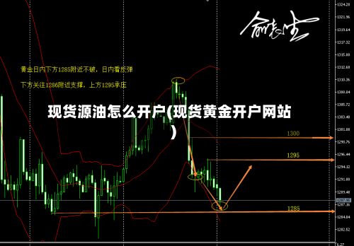 现货源油怎么开户(现货黄金开户网站)-第3张图片