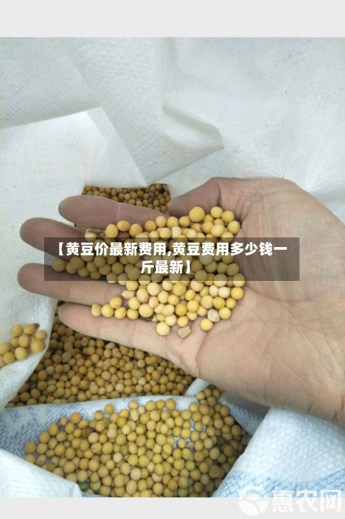 【黄豆价最新费用,黄豆费用多少钱一斤最新】-第3张图片