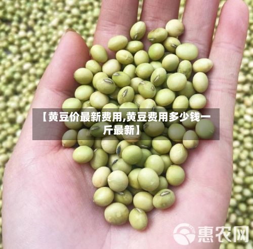 【黄豆价最新费用,黄豆费用多少钱一斤最新】