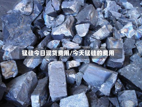 锰硅今日现货费用/今天锰硅的费用-第3张图片