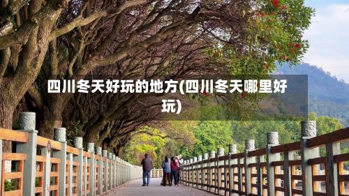 四川冬天好玩的地方(四川冬天哪里好玩)-第2张图片