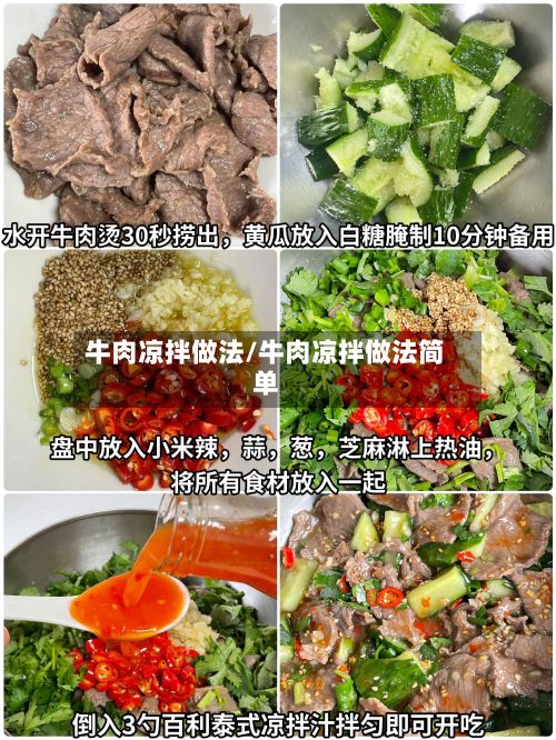 牛肉凉拌做法/牛肉凉拌做法简单