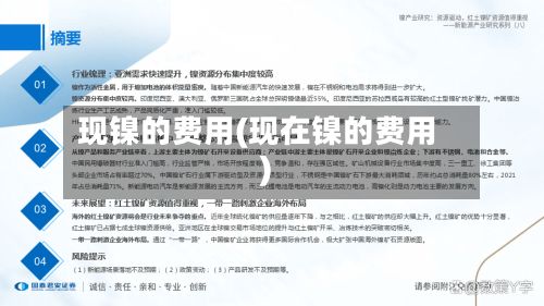 现镍的费用(现在镍的费用)-第2张图片