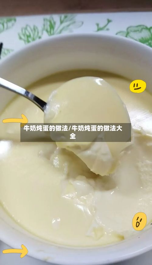 牛奶炖蛋的做法/牛奶炖蛋的做法大全