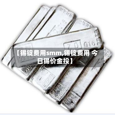 【锡锭费用smm,锡锭费用 今日锡价金投】